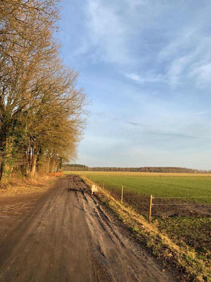 'T Holten Huus - Puur Genieten In Het Bos. Norg Zewnętrze zdjęcie