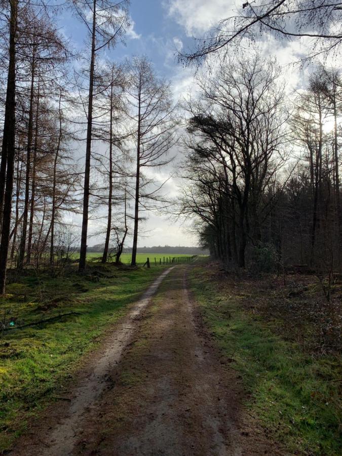 'T Holten Huus - Puur Genieten In Het Bos. Norg Zewnętrze zdjęcie