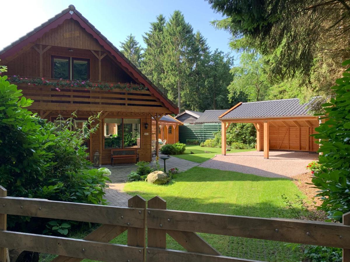 'T Holten Huus - Puur Genieten In Het Bos. Norg Zewnętrze zdjęcie