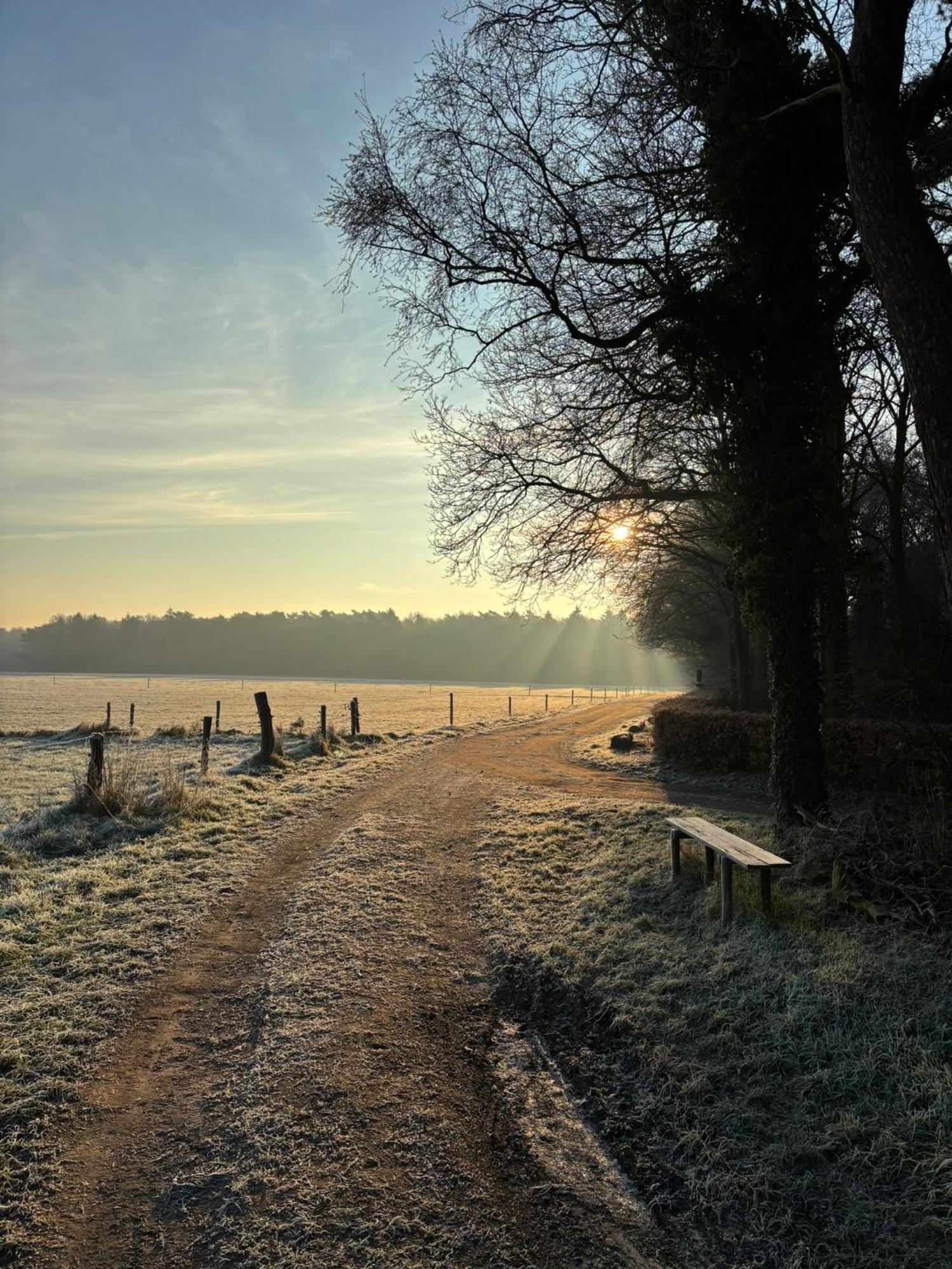 'T Holten Huus - Puur Genieten In Het Bos. Norg Zewnętrze zdjęcie