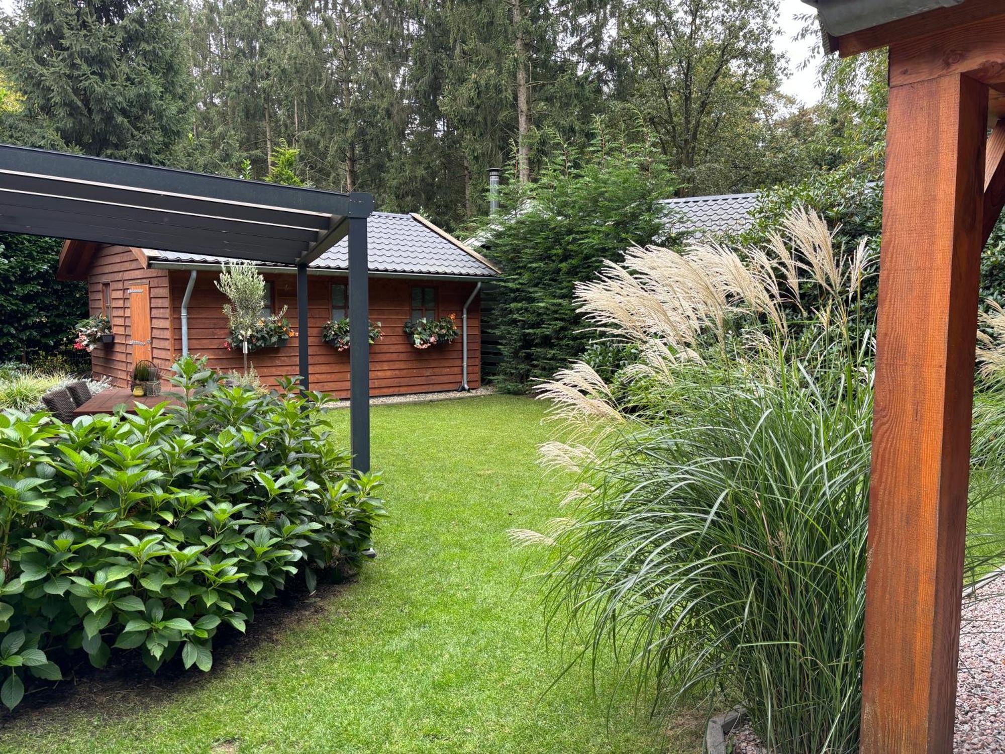 'T Holten Huus - Puur Genieten In Het Bos. Norg Zewnętrze zdjęcie